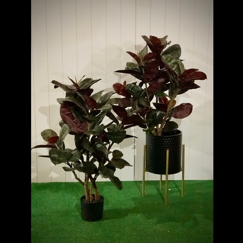 3' Potted Rubber Plant - Artificial Trees & Floor Plants - 3 foot artificial rubber tree shrub for rent